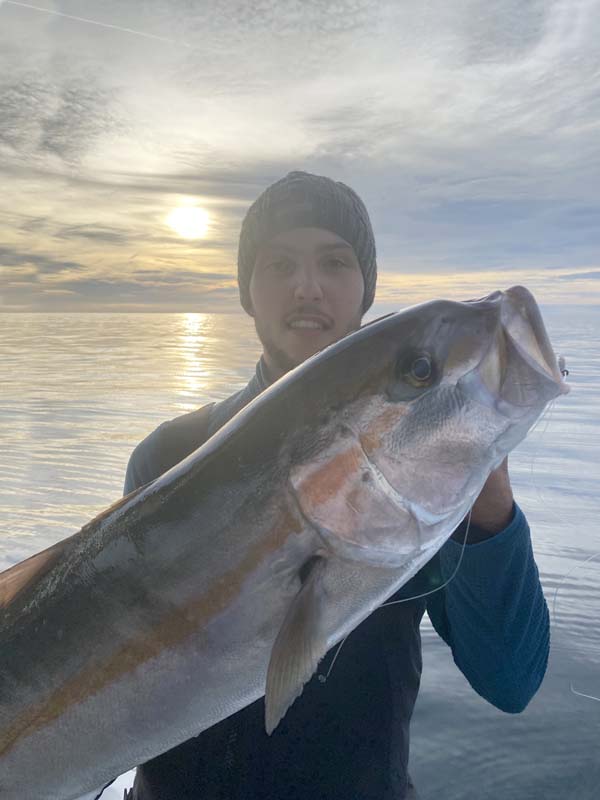 Nicolas Gimenez avec une superbe sériole prise au Snapper Adjustable Rig EX304 Hayabusa