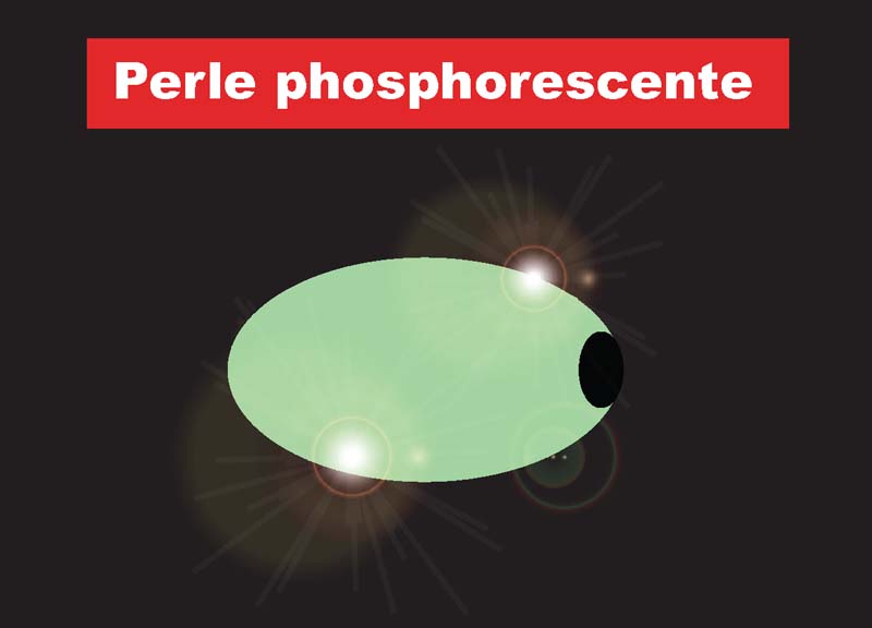 La perle phospho sert de teaser et permet une meilleure prise pour le coulissement de l’hameçon tracteur