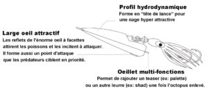 Le Kick Bottom Hayabusa est un des meilleurs inchikus de sa génération ! 