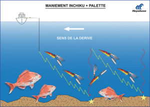 Une récupération en dents de scie d’un Kick Bottom boosté avec une palette est très efficace ! 