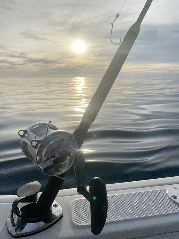 Le Snapper Adjustable EX304 Hayabusa monté sur l’ensemble traîne de Nicolas