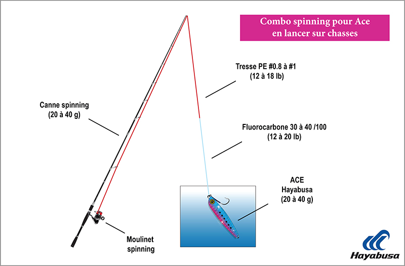 Combo spinning pour Ace en lancer sur chasses 