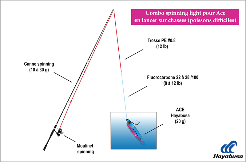 Combo spinning light pour Ace en lancer sur chasses (poissons difficiles)