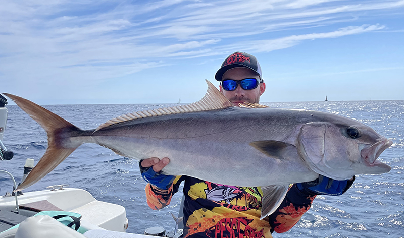 Les montages Snapper adjustable Hayabusa 50 et 80 lb sont idéaux pour pêcher la sériole au vif ! 