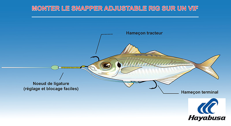 Comment monter un vif sur le montage Snapper Adjustable EX304 Hayabusa