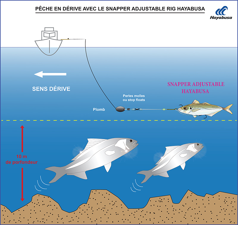 Pêche de la sériole en dérive sur une ligne plombée avec le Snapper Adjustable Rig Hayabusa